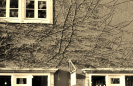 sepia.jpg